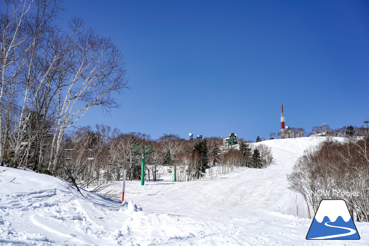 サッポロテイネ　真っ白な雪、澄んだ青空。ゴールデンウィーク２日目は、旭岳～羊蹄山まで見渡せる絶好の春スキー＆スノーボード日和に☆